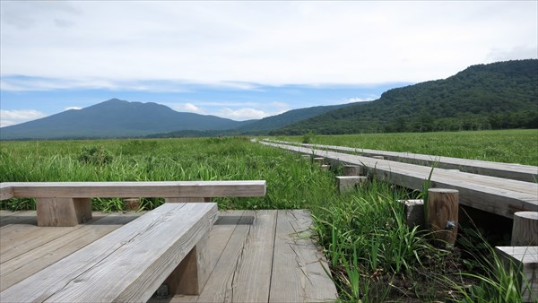 湿原・湿地(尾瀬)の背景画像