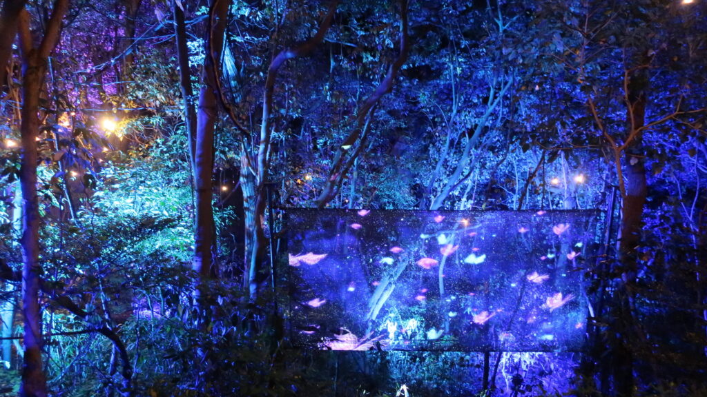 ニジゲンノモリ