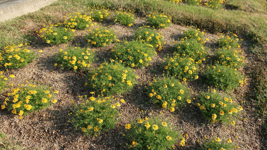 グランドニッコー淡路