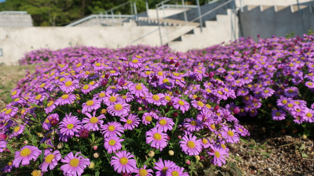 グランドニッコー淡路