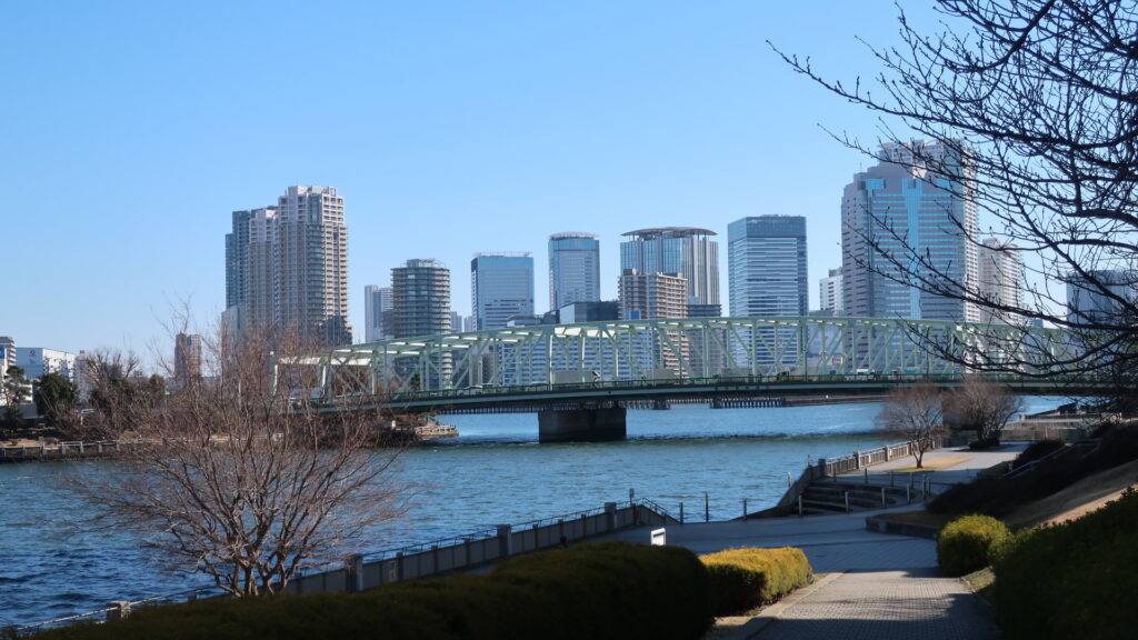 湾岸タワーマンション